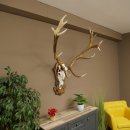 Red deer antlers, approx. 16-point stag, silver-colored medal, height 124 cm, stag antlers mounted on a carved trophy shield