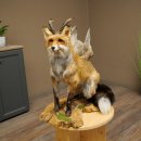 Wolpertinger Wolpi, renard assis avec des cornes, des ailes et des crocs en bois de cerf, spécimen empaillé, créature mythique