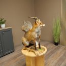 Wolpertinger Wolpi, renard assis avec des cornes, des ailes et des crocs en bois de cerf, spécimen empaillé, créature mythique