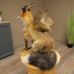 Wolpertinger Wolpi, renard assis avec des cornes, des ailes et des crocs en bois de cerf, spécimen empaillé, créature mythique