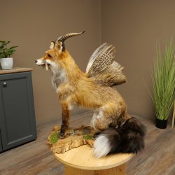 Wolpertinger Wolpi, renard assis avec des cornes, des ailes et des crocs en bois de cerf, spécimen empaillé, créature mythique