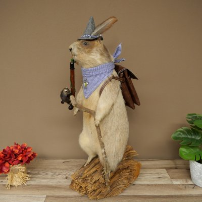 Taxidermied Wolpertinger marmot hiker with hat, backpack, neckerchief, walking stick, and pipe