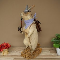 Taxidermied Wolpertinger marmot hiker with hat, backpack, neckerchief, walking stick, and pipe