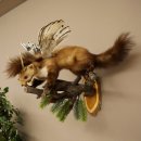 Wolpertinger: marter met vleugels, reehoorns, punkkapsel, hoektanden, opgezette Wolpi, hoogte 47 cm