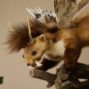 Wolpertinger: marter met vleugels, reehoorns, punkkapsel, hoektanden, opgezette Wolpi, hoogte 47 cm
