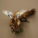 Wolpertinger: marter met vleugels, reehoorns, punkkapsel, hoektanden, opgezette Wolpi, hoogte 47 cm
