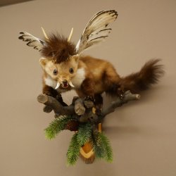 Wolpertinger: marter met vleugels, reehoorns, punkkapsel, hoektanden, opgezette Wolpi, hoogte 47 cm