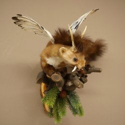 Wolpertinger: marter met vleugels, reehoorns, punkkapsel, hoektanden, opgezette Wolpi, hoogte 47 cm