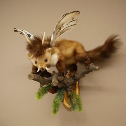 Wolpertinger: marter met vleugels, reehoorns, punkkapsel, hoektanden, opgezette Wolpi, hoogte 47 cm