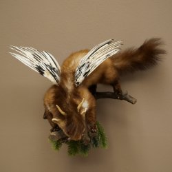 Wolpertinger: marter met vleugels, reehoorns, punkkapsel, hoektanden, opgezette Wolpi, hoogte 47 cm