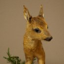 Preparato di cerbiatto in posizione eretta, cerbiatto molto piccolo, altezza 32 cm, preparato di Bambi