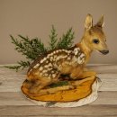 Opgezette reekalfje, liggend, heel klein Bambi-reekalfje,...