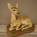 Preparato di cerbiatto in posizione sdraiata, altezza 38 cm. Bambi, cerbiatto, preparato di animale 89.11.78