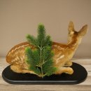 Faux-gibier : faon couché, faon plus âgé, hauteur 31 cm, faux-gibier Bambi 89.11.79