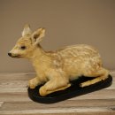 Faux-faon empaillé, couché sur un socle noir, jeune faon, hauteur 30 cm, empaillage de Bambi, 89.11.80