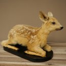 Faux-faon empaillé, couché sur un socle noir, jeune faon, hauteur 30 cm, empaillage de Bambi, 89.11.80