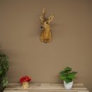 Tête de chevreuil mâle avec bois anormaux, montage taxidermique, hauteur 56 cm ; tête de chevreuil mâle montée sur un socle sculpté
