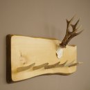 Geweih Garderobe mit 7 Hirschspitzen Haken auf Holzbrett 1x Rehgeweih Wandgarderobe Unikat 27.8.128