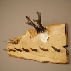 Geweih Garderobe mit 7 Hirschspitzen Haken auf Holzbrett 1x Rehgeweih + 1x Rehstange Wandgarderobe Unikat 27.8.129