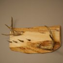 Geweih Garderobe mit 4 Hirschspitzen Haken auf Holzbrett 2x Weißwedelstangen Wandgarderobe Unikat 27.8.130