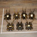 Cuernos de corzo: 7 piezas; machos de corzo: 5 con cuernos más grandes; 2 machos siberianos; placas de trofeo talladas con motivos de corzo: 22.1388