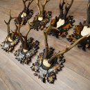 Cuernos de corzo: 7 piezas; machos de corzo: 5 con cuernos más grandes; 2 machos siberianos; placas de trofeo talladas con motivos de corzo: 22.1388