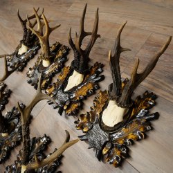 Cuernos de corzo: 7 piezas; machos de corzo: 5 con cuernos más grandes; 2 machos siberianos; placas de trofeo talladas con motivos de corzo: 22.1388