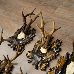 Cuernos de corzo: 7 piezas; machos de corzo: 5 con cuernos más grandes; 2 machos siberianos; placas de trofeo talladas con motivos de corzo: 22.1388