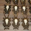 Reebogen, 12 stuks, oudere reebokken, reebok, reebok, set reebogen op bewerkte trofeeborden 21.481
