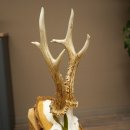 Bronze-grade roe deer antler medal, 666 g, CIC 106.3 IP, magnificent roe buck antlers, antler tips, birch shield