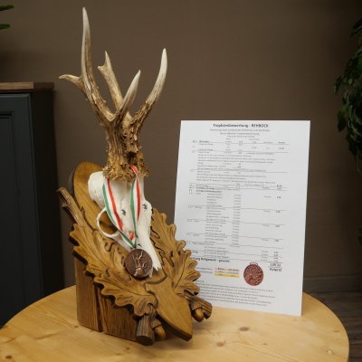 Rehgeweih Medaillenklasse Bronze CIC 109,33 IP kapitaler Bock Reh Geweih Gehörn geschnitztem Trophäenschild