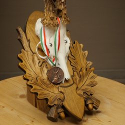 Rehgeweih Medaillenklasse Bronze CIC 109,33 IP kapitaler Bock Reh Geweih Gehörn geschnitztem Trophäenschild