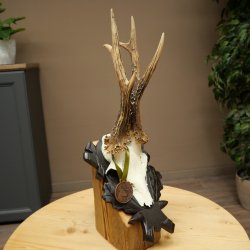 Rehgeweih Medaillenklasse Bronze CIC 114,03 IP kapitaler Bock Reh Geweih Gehörn geschnitztem Trophäenschild