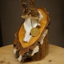 Rehgeweih Deko Medaille CIC 120,83 IP hochkapitaler Bock Reh Geweih Gehörn Birke Schild