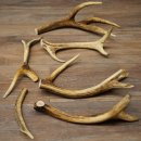 Red deer 7 pieces / sections of antlers Red deer antlers...