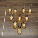 Rehgeweihe 10 Stück Rehböcke Reh Bock Geweihe auf Birke Schildern 22.1398