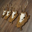 4-piece roebuck antlers, carved trophy plaques 22.1405