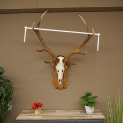 Bois de cerf rouge, cerf à 10 pointes, hauteur 111 cm, bois de cerf montés sur un socle sculpté