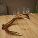 Set da liquore: 5 bicchieri alti con stelo su un supporto a forma di corna di cervo rosso - Regalo 27.60.2.63