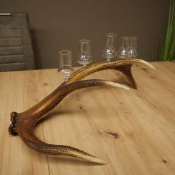 Set da liquore: 5 bicchieri alti con stelo su un supporto a forma di corna di cervo rosso - Regalo 27.60.2.63
