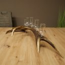 Liqueur Set: 5 Large Stemmed Glasses on a Red Deer Antler Stand – Gift Set 27.60.2.64