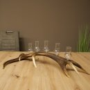 Liqueur Set: 5 Large Stemmed Glasses on a Red Deer Antler Stand – Gift Set 27.60.2.64
