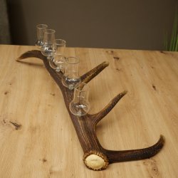 Liqueur Set: 5 Large Stemmed Glasses on a Red Deer Antler Stand – Gift Set 27.60.2.64