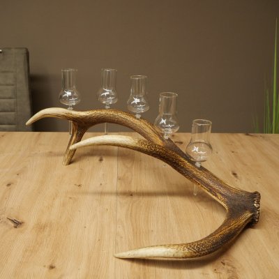 Schnapsleverancier 5 grote glazen met steel op een stang van roodhertenhoorn Cadeau 27.60.2.65
