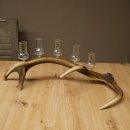 Fournisseur de schnaps : lot de 5 grands verres à...