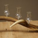Schnapsleverancier 5 grote glazen met steel op een stang van roodhertenhoorn Cadeau 27.60.2.65