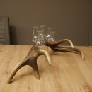 Schnapsleverancier 5 grote glazen met steel op een stang van roodhertenhoorn Cadeau 27.60.2.65