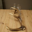 Schnapsleverancier 5 grote glazen met steel op een stang van roodhertenhoorn Cadeau 27.60.2.65