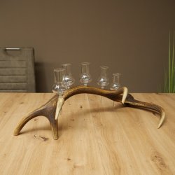 Schnapsleverancier 5 grote glazen met steel op een stang van roodhertenhoorn Cadeau 27.60.2.65