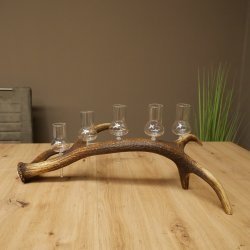 Schnapsleverancier 5 grote glazen met steel op een stang van roodhertenhoorn Cadeau 27.60.2.65